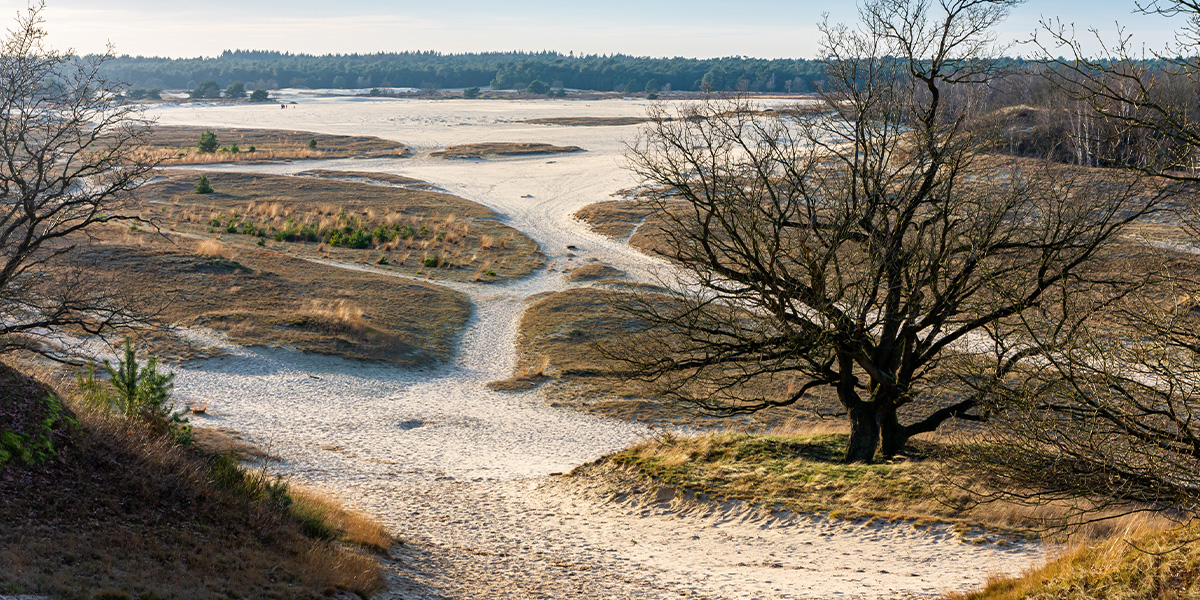 loonse en drunense duinen
