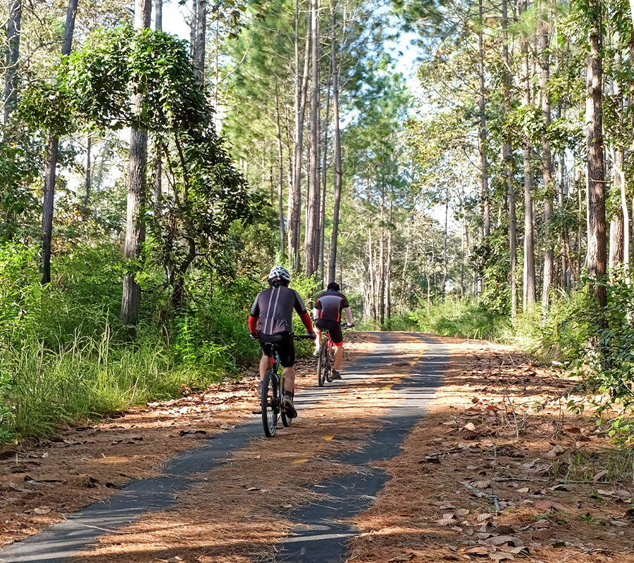 fietsen in loonse en drunense duinen